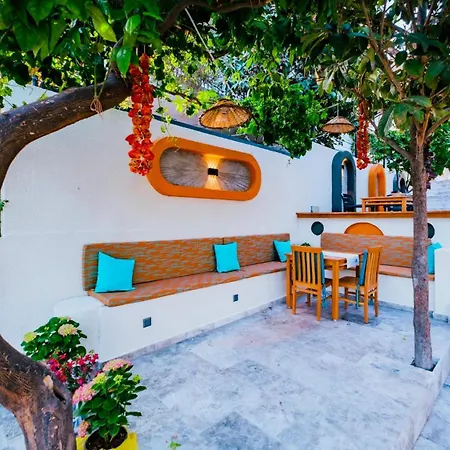Otel Sardunya Arka Bına *