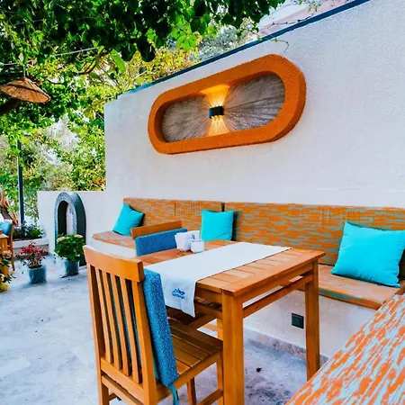 Sardunya Arka Bına Kaş