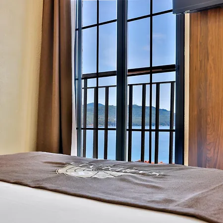 Otel Sardunya Arka Bına *