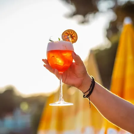 Sardunya Arka Bina * קס