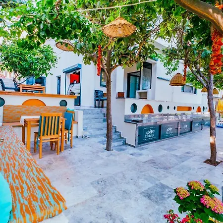 Sardunya Arka Bina *