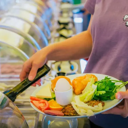 Sardunya Arka Bina * קס